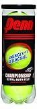 Penn Championship High Altitude - Extra Duty Felt Pressurized Tennis Balls, 1 Can, 3 Balls