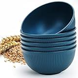 LIANGKEN Unbreakable Cereal Bowls 24 oz, Plastic Bowls Reusable Light Weight Bowl, Set of 6, Large Lightweight Bowls Made of Wheat Straw Fiber Ideal for Salad, Soup, Ramen, Noodles, Oatmeal