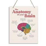 Brain Anatomy Wood Sign, Therapy Decorations, Hanging Wooden Plaques Decor, Brain Learning Resources, Psychology Sign, Neuroscience Decor Sign, Counseling Room Hanging Decor, Medical Decor