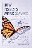 How Insects Work: An Illustrated Guide to the Wonders of Form and Function―from Antennae to Wings (How Nature Works)