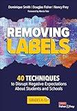 Removing Labels, Grades K-12: 40 Techniques to Disrupt Negative Expectations About Students and Schools (Corwin Literacy)