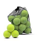 Swingers Tennis Balls，20 Pack Training Tennis Balls,Exercise Balls for Pet Dog, High Elasticity Practice Tennis Balls for Beginner, with Mesh Carry Bag Easy to Transport (Yellow)