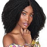 Saga Queen Brazilian Afro Kinky Curly Clip In Hair Extensions 8pcs 18clips 120g/pck Brazilian Virgin Human Hair Afro Clip In For Black Women (1 bundle 20inch, natural black)