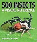 500 Insects: A Visual Reference