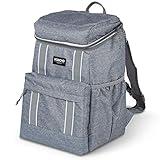 Igloo 30 Can Large Portable Insulated Soft Cooler Backpack Carry Bag, Light Gray