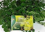 Malunggay (Moringa Tea) Natural Herbal Tea 20 tea bags by Namica