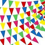 YGEOMER 300pcs Colorful Pennant Banner Flags, 375ft Multicolor Banners Carnival Decorations Supplies for Party Birthday and Shops Decorations