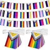 TSMD 2 Packs New Intersex Progress Rainbow Gay All Pride Flags Banner String Set Small Mini LGBTQ Inclusive Bunting Flags Decoration,60 Feet 40 Flags