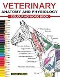 Veterinary Anatomy and Physiology Coloring Work Book: Easy and Effective Self assessment, Test prep and Revisions Study Guide for Vet Medicine and Nursing Students