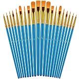 Paint Brushes Set for Acrylic Painting, 20 Pcs Oil Watercolor Acrylic Paint Brush, Artist Paintbrushes for Body Face Rock Canvas, Kids Adult Drawing Arts Crafts Supplies, Blue