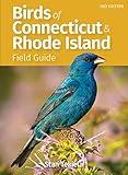 Birds of Connecticut & Rhode Island Field Guide (Bird Identification Guides)