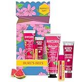 Burt's Bees Mothers Day Gifts for Mom, 3 Self Care Products, You're One in a Melon - Watermelon & Mint Hand Cream, Watermelon Lip Balm & Watermelon Rush Squeezy Tinted Lip Balm (Packaging May Vary)