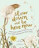 Slow Down and Be Here Now: More Nature Stories to Make You Stop, Look, and Be Amazed by the Tiniest Things