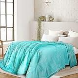 Lynnlov Large 3 Layers Flannel Fleece Bed Blanket King Size 90" x 108", Decorative Soft Thick Microfiber Plush Blanket, Luxury Comfy Cozy Velvet Winter Warm Blankets, Washable & Breathable, Aqua