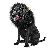 Onmygogo Lion Mane Wig for Dogs with Ears, Funny Pet Costumes for Halloween Christmas (Size L, Black)