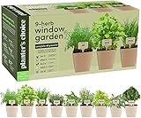 9 Herb Indoor Window Garden Kit - House Plants Seeds - Best Unique Gift Ideas for Women, Mom, Friend, Her, Birthday, Housewarming, Mother - New Home Kitchen Gifts - Live Plant Starter (Plastic)