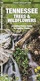 Tennessee Trees & Wildflowers: A Folding Pocket Guide to Familiar Plants (Wildlife and Nature Identification)