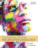 Fundamentals of Human Neuropsychology