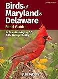 Birds of Maryland & Delaware Field Guide: Includes Washington, D.C., & the Chesapeake Bay (Bird Identification Guides)