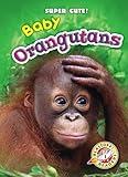 Baby Orangutans (Super Cute!)