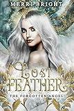 Lost Feather (The Forgotten Angel Book 1)