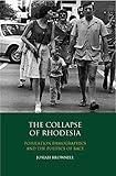 The Collapse of Rhodesia: Population Demographics and the Politics of Race (International Library of African Studies, 28)