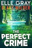 The Perfect Crime (Blake Wilder FBI Mystery Thriller Book 25)