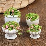 TBoxBo 4 Pcs Dollhouse Potted Plants,Miniature Artificial Plant Bonsai,Mini Flowerpot,Miniature Dollhouse Kit,Doll House Mini Plant,for 1:12 Dollhouse Decor, zgdYT67D1