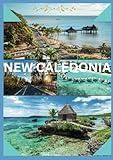 NEW CALEDONIA TRAVEL GUIDE 2024: Discovering Paradise: Your Essential New Caledonia Travel Companion 2024.