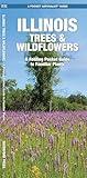 Illinois Trees & Wildflowers: A Folding Pocket Guide to Familiar Plants (Wildlife and Nature Identification)