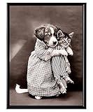 Funny Dog and Cat Pictures - Cat Wall Decor - Kitty Art - Animal Pictures Wall Art - Black White Dogs Cats Photo - Vintage Ridiculous Humor Bathroom Decor, Funny Gifts for Dog Cat Lovers Office Poster