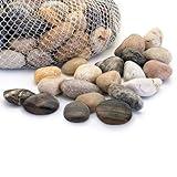 Royal Imports 5LBS River Rocks Decorative Ornamental Pebbles, Garden Landscaping Stones, Gravel Filler for Plants, Vases, Succulents, Home Decor, Aquariums, Crafting, Animal Habitat - Large Natural