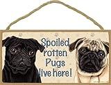 SJT ENTERPRISES, INC. Spoiled Rotten Pugs Live here (tan and Black Pugs) Wood Sign Plaque 5" x 10" (SJT61996)