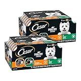 CESAR Filets in Gravy Adult Wet Dog Food, Poultry Lovers Variety Pack, 3.5 oz. Easy Peel Trays, Pack of 24