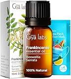 Gya Labs Frankincense Essential Oil - 100% Pure Natural Frankincense Oil for Face Skin Body Massages & Candle Making - Premium Grade for Wellness & Comfort- Woody Balsamic & Calming Scent (0.34 Fl Oz)