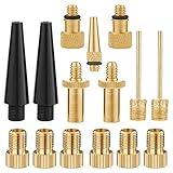 COOLWHEEL Bicycle Presta and Schrader Valve Adapter - 15 Pcs Bike Brass DV AV SV Tire Valve Inflator Adapters Set,Ball Pump Needle Inflation Devices & Accessories for Bike Tire Air Compressor