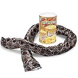 FunFamz The Original Snake in a Potato Chip Can Prank-Funny Trick Gag Gift Toy & Scary Shock Practical Joke for Kids Popcorn Nuts Snake Can