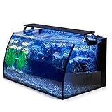 hygger Horizon 8 Gallon LED Glass Aquarium Kit for Starters with 7W Power Filter Pump, 18W Colored led Light, Wide View Curved Shape Fish Tank with Undetachable 3D Rockery Background Decor