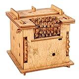 iDventure Cluebox - Schroedingers Cat - Escape Room Game - Puzzle Box - 3D Wooden Puzzle for Adults - Treasure Box - Gift Box - Brain Teaser - Birthday Gift Gadget for Men and Women - Money Box