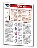 The Blood - Human Blood Guide - 8.5" x 11" Laminated Medical Quick Reference Guide by Permacharts