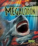 Megalodon (Ancient Marine Life)