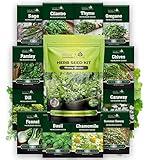 NatureZ Edge 12 Herb Seeds Variety Pack, 6000+ Heirloom Seeds for Planting Hydroponic Indoor or Outdoor Home Garden Plant Seed, Parsley, Cilantro, Basil, Thyme, Chamomile, Oregano, Dill & More NonGMO