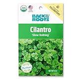 Seed Packet Cilantro