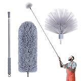 IVYROLL Cobweb Duster with Extension Pole, Spider Web Brush & Ceiling Duster Kit for Cleaning, 100" Microfiber Feather Duster Cleaner with Washable Head for Ceiling Fan, Furniture, Home