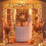 2 Pack Fall Decorations for Home Maple Leaf Lights Multicolored, Total 20Ft 40LED Battery Operated Fall Leaves Garland with Lights String Autumn Harvest Table Indoor Halloween Thanksgiving Decorations