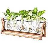 Ivolador Desktop Plant Propagation Stations，Plant Terrarium，Plant Lover Gifts for Women ，Gifts for mom， for Hydroponics Plants Home Garden Wedding Decor (5 Bulbs)