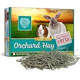 Small Pet Select Orchard Grass Hay Pet Food for Rabbits, Guinea Pigs, Chinchillas and other Small Animals, Premium Natural Hay Grown in The US, 5 LB