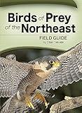 Birds of Prey of the Northeast Field Guide (Bird Identification Guides)