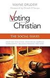 Voting as a Christian: The Social Issues