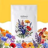 California Wildflower Mix - 10,000 Seeds - 17 Varieties - No Fillers, Open Pollinated and Non GMO, Perennial and Annual Garden Flowers, Attracts Bees and Butterflies